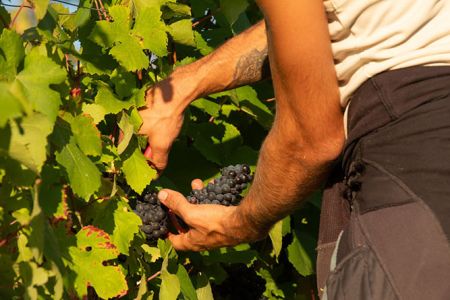 5. Discover our flavors and expertise!